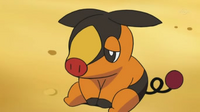 EP670 Tepig triste.png