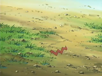 EP433 Kecleon invisible.png