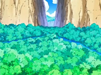 EP482 Sendero del Valle.png