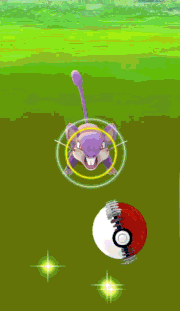 Captura de Ditto Pokémon GO.gif