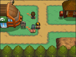 Eco acompañante.png