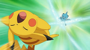 EP664 Dewott golpea a Pikachu