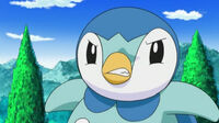 EP660 Piplup enfadado.jpg