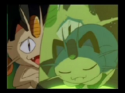 P01 Clon de Meowth.png