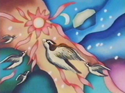 EP213 Cuadro de Pidgey.png