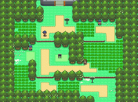 Ruta 202.png