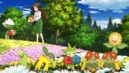 P12 Pokémon de jardín.jpg