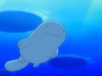 EP552 Quagsire de Mananti (2).png