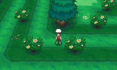 Bosque espejismo ruta 111.png