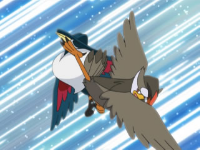 EP587 Staraptor usando a bocajarro.png