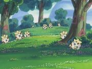 EP321 Paraiso Togepi.jpg