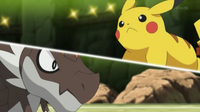 EP829 Pikachu VS Tyrunt.png