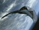 Deathglider