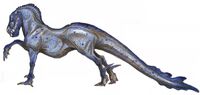 Zalaaca (female)