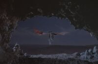 Fly mantigrue.jpg