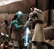 Bril Kenobi
