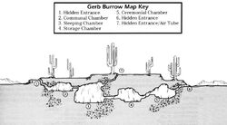 Gerb burrow
