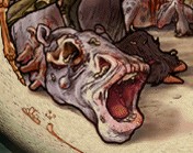Wormpic.jpg