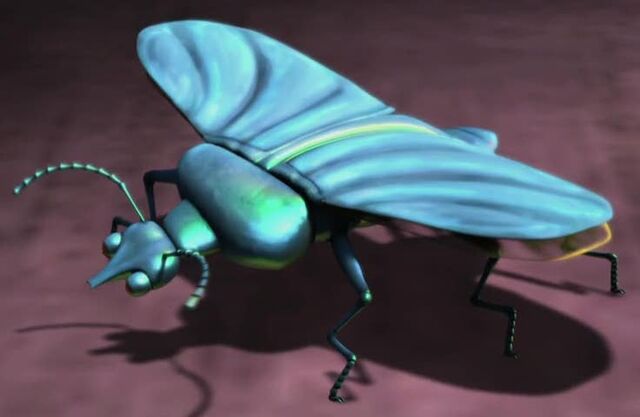 Archivo:Slug-beetle2.jpg