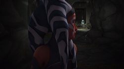 YodaAhsoka.png