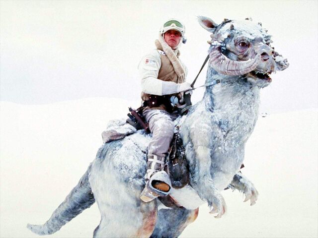 Archivo:Luketauntaun.jpg