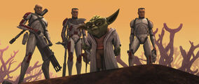 Ambush Yoda clones.jpg