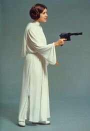 Leia photomasher.jpg