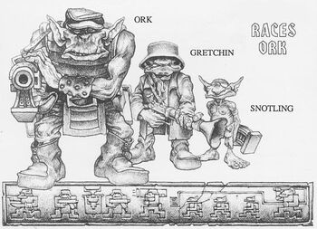Orkraces.jpg