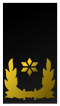 File:Pplpllplpllppl.png