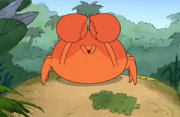 Cangry captaincraboo