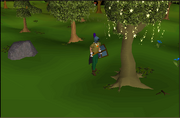 Escaperuins magic tree