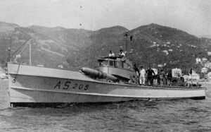 VAS205.jpg