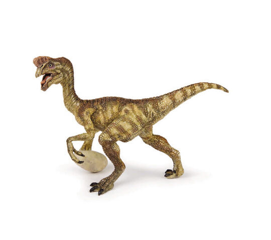 Archivo:Oviraptor.jpg