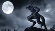 Quien-fue-el-primer-hombre-lobo-1009x504.jpg
