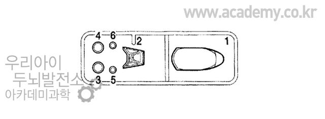 File:Academy 12211 Sprue 6.jpg