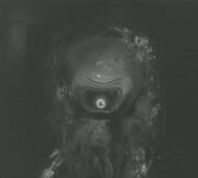 Alien ICFOS.jpg