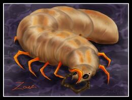 Cerebrado