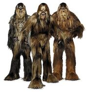 408px-Wookies.jpg