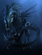 Alienqueen.jpg
