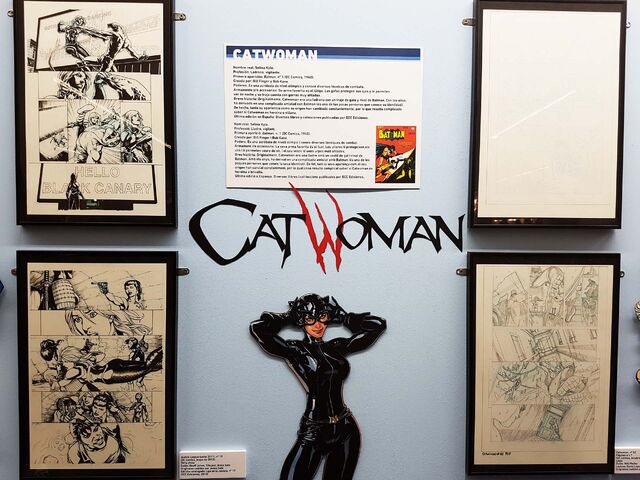 Archivo:Salondelcomic2016 catwoman.jpg