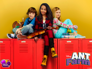ANT Farm.png