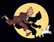 Tintin.jpg