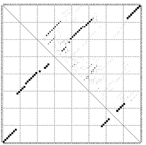 File:Base-pairing-1bad.jpg