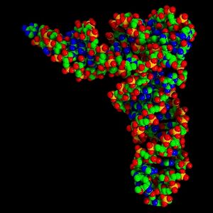 TRNA