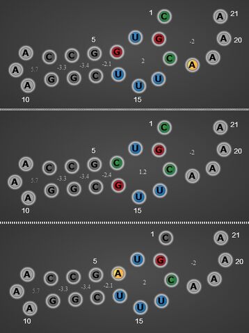 File:21ext2.jpg