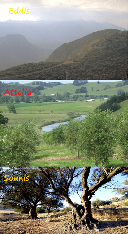 File:Eddis Attolia Sounis comparison.png