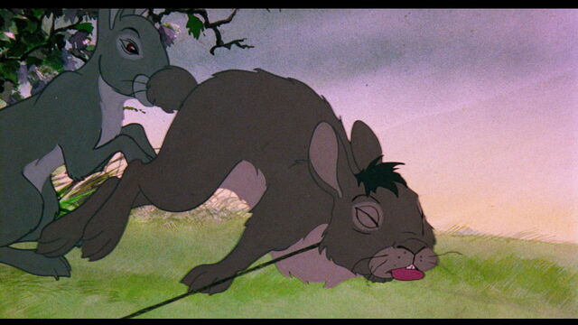 File:Watership5big.jpg