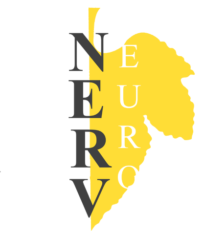 File:NewNervEuro.png