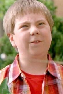 Beans