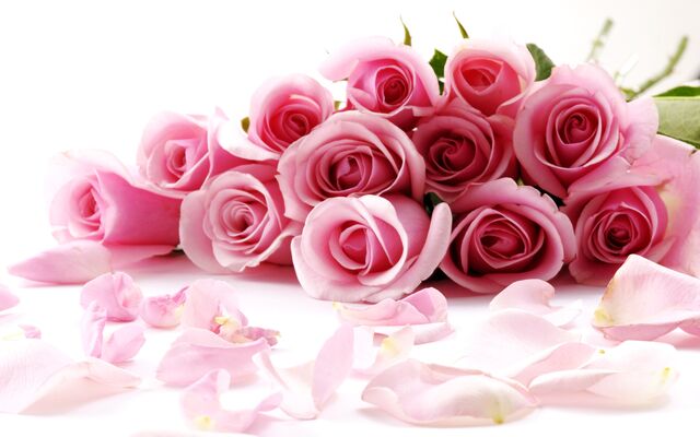 File:Awesome roses-wide-1-.jpg